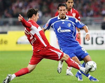 还包括丰富 还包括丰富